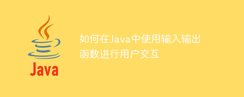 如何在java中使用输入输出函数进行用户交互