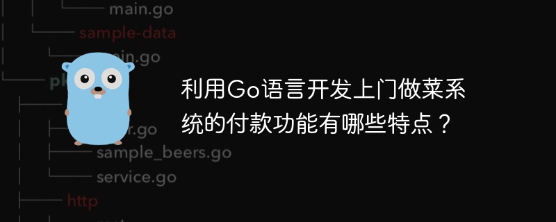 利用Go语言开发上门做菜系统的付款功能有哪些特点？