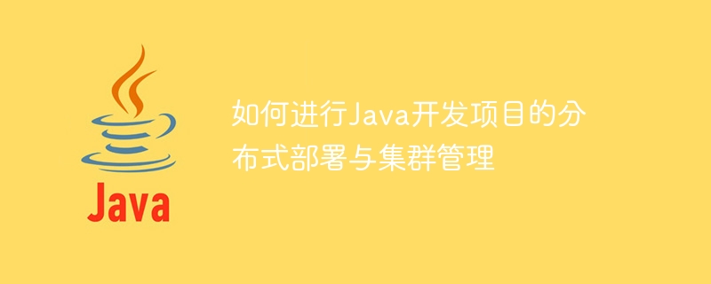 如何进行java开发项目的分布式部署与集群管理