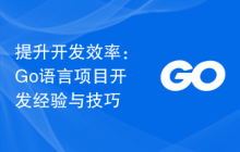 提升开发效率：Go语言项目开发经验与技巧