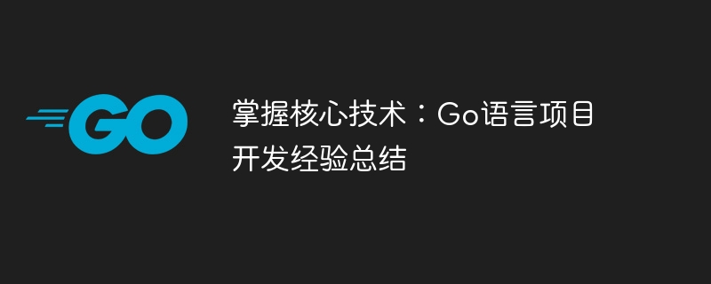 掌握核心技术：go语言项目开发经验总结