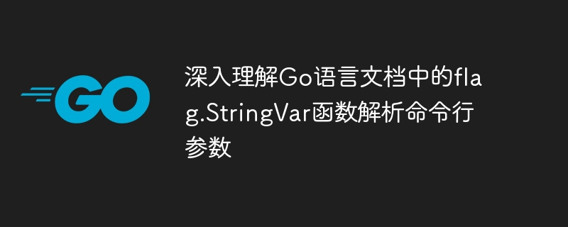 深入理解go语言文档中的flag.stringvar函数解析命令行参数