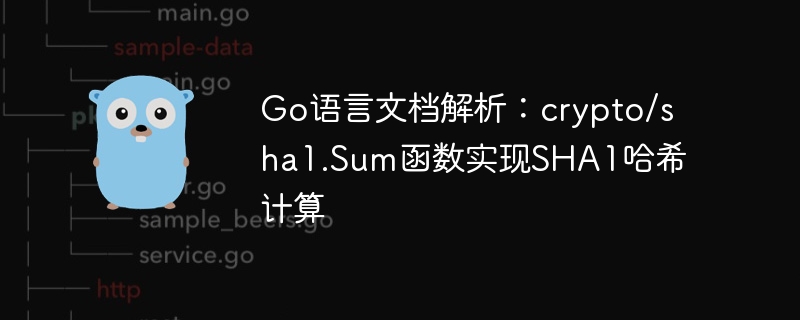 go语言文档解析：crypto/sha1.sum函数实现sha1哈希计算