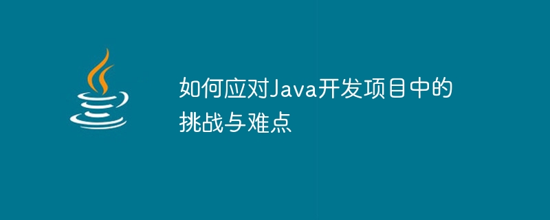 如何应对java开发项目中的挑战与难点