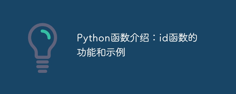python函数介绍：id函数的功能和示例