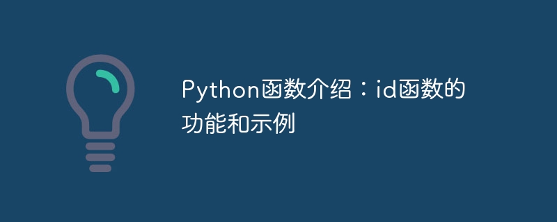 Introduction to Python functions: functions and examples of the id function