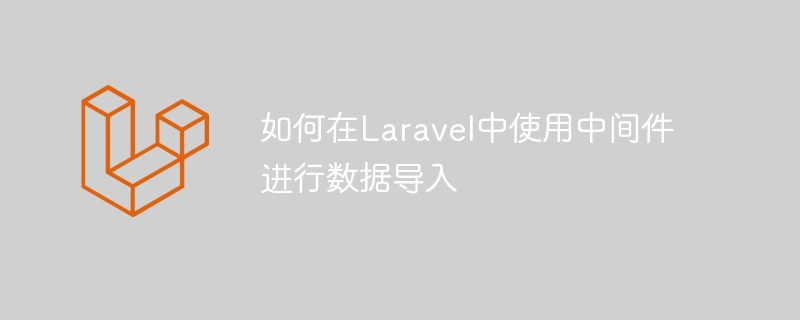 如何在Laravel中使用中間件進行數據導入-小浪學習網