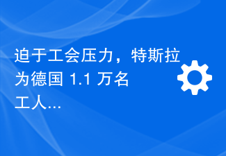 迫于工会压力,特斯拉为德国 1.1 万名工人涨薪 4%