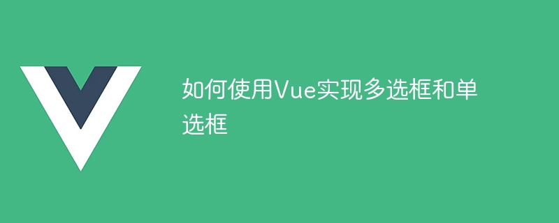 Vue를 사용하여 다중 선택 상자 및 라디오 버튼을 구현하는 방법