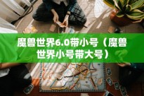 魔兽世界6.0带小号（魔兽世界小号带大号）
