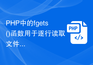 Die Funktion fgets() in PHP wird verwendet, um den Dateiinhalt zeilenweise auszulesen