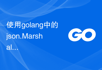 使用golang中的json.MarshalIndent函数将结构体转换为格式化的JSON字符串