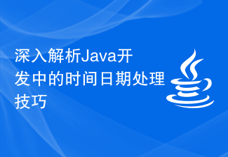 Java 개발의 시간 및 날짜 처리 기술에 대한 심층 분석