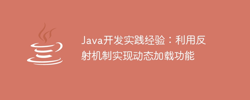 Java开发实践经验：利用反射机制实现动态加载功能