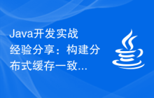 Java开发实战经验分享：构建分布式缓存一致性功能