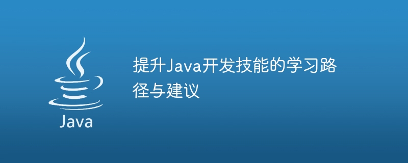 提升java开发技能的学习路径与建议