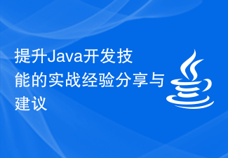 提升Java开发技能的实战经验分享与建议