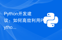 Python开发建议：如何高效利用Python开发工具