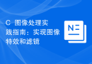 C++图像处理实践指南：实现图像特效和滤镜