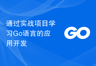 通过实战项目学习Go语言的应用开发