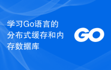 学习Go语言的分布式缓存和内存数据库