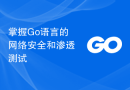 掌握Go语言的网络安全和渗透测试