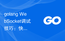 golang WebSocket调试技巧：快速解决通信问题