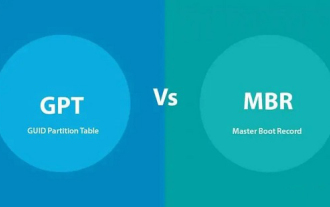 Detailliertes Verständnis des Win10-Partitionsformats: GPT- und MBR-Vergleich