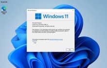 Windows 11电脑分屏操作指南