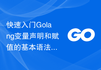 Quickly get started with the basic syntax of Golang variable declaration and assignment