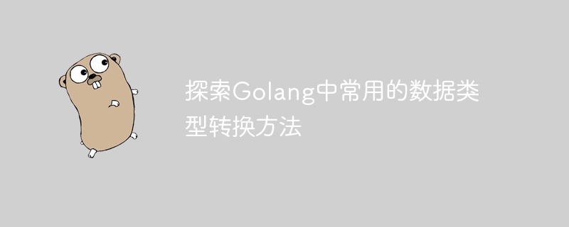 探索Golang中常用的数据类型转换方法