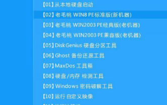 Installationsanleitung für das Win10-System
