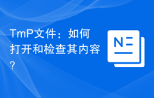 TmP文件：如何打开和检查其内容？