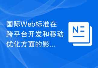 国际Web标准在跨平台开发和移动优化方面的影响