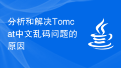 Analyze and solve the causes of Chinese garbled characters in Tomcat