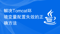 The correct way to solve the problem of Tomcat environment variable configuration failure