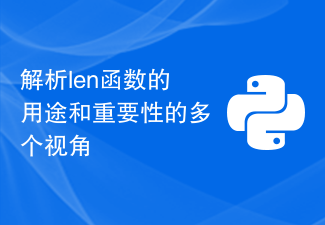 Multiple perspectives on the use and importance of the len function