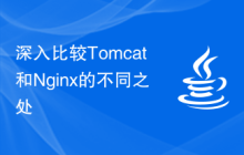 深入比较Tomcat和Nginx的不同之处