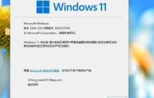 哪个是比较好的选择：win1123h2和22h2？