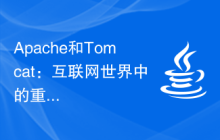 Apache和Tomcat：互联网世界中的重要性和特点