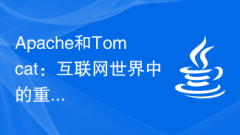 Apache and Tomcat: importance and characteristics in the Internet world