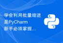 学会利用批量缩进是PyCharm新手必须掌握的技能