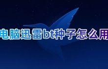 学习如何使用迅雷下载bt种子文件 针对迅雷如何操作种子文件的教程