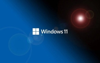 Adakah Win11 menyokong kertas dinding dinamik?
