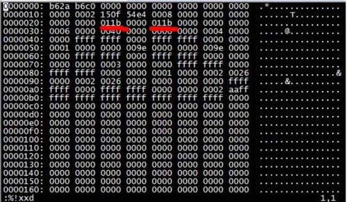 IBD 파일을 사용한 MySQL 데이터 복구 팁?