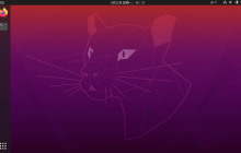 如何移除Ubuntu20.04桌面上的回收站和用户文件夹?