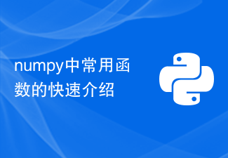 Pengenalan pantas kepada fungsi yang biasa digunakan dalam numpy