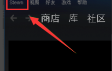 解决Windows 10上的Steam错误代码-101