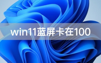 So lösen Sie das Problem, dass der Win11-Bluescreen bei 100 % hängen bleibt
