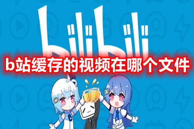 B站视频的本地存储路径是什么？